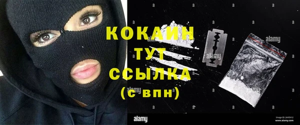 spice Алексин