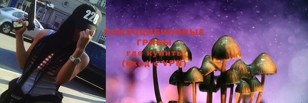 spice Алексин