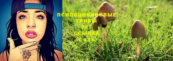 spice Алексин