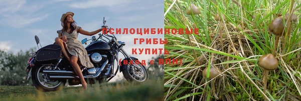 МДМА Абаза