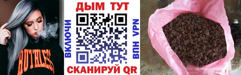 продажа наркотиков  Касимов  kraken ONION  Шишки марихуана тримм 